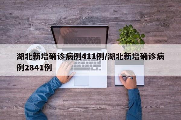 湖北新增确诊病例411例/湖北新增确诊病例2841例