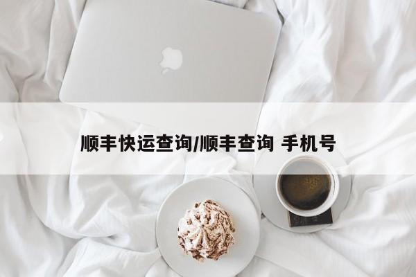 顺丰快运查询/顺丰查询 手机号